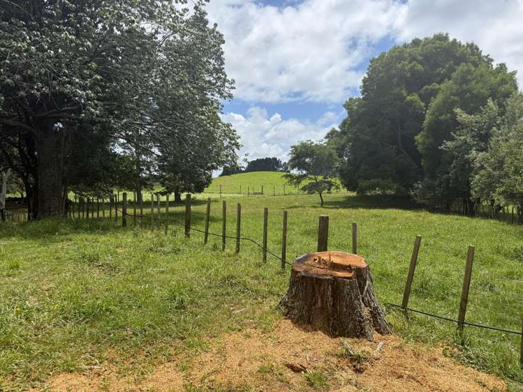 15 Scott Road Putaruru_21