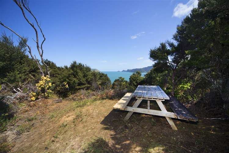 81 Cornwallis Road Cornwallis_17