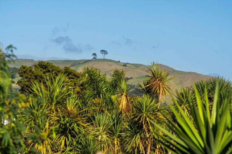 988 Papamoa Beach Road Papamoa Beach_25