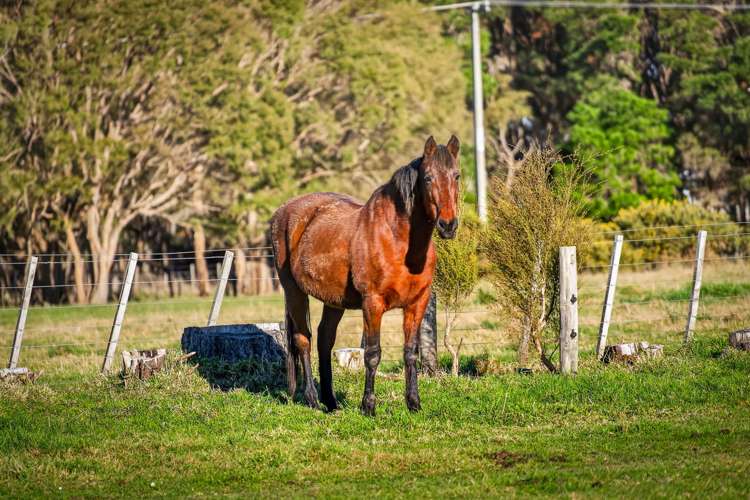 601 Norfolk Road Carterton_32
