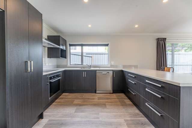 28c Beverley Hill Timaru_2