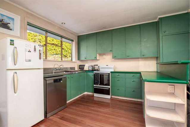 7 Thompson Street Alexandra_1