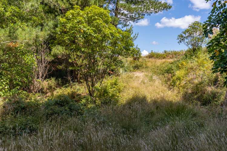 114 Dominion Road Mapua_6