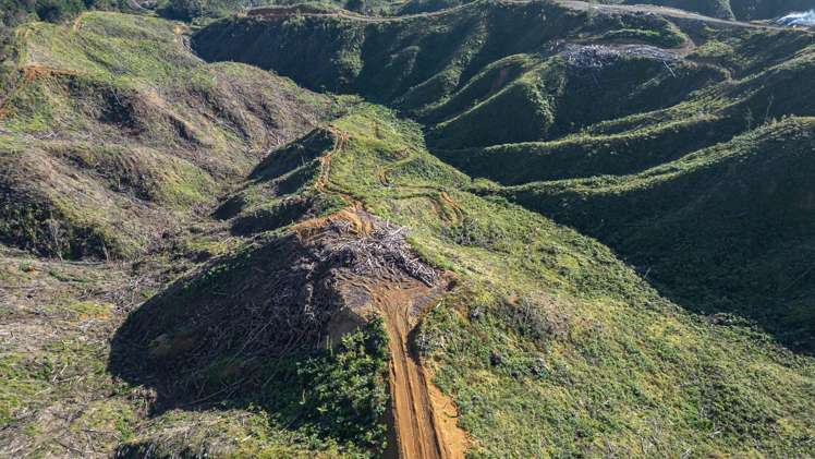 982B Manaia Road Coromandel_26