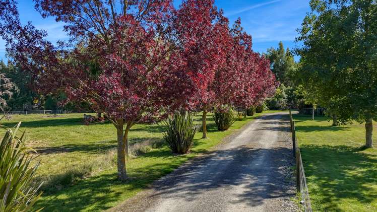 305 Loburn Terrace Road Loburn_11