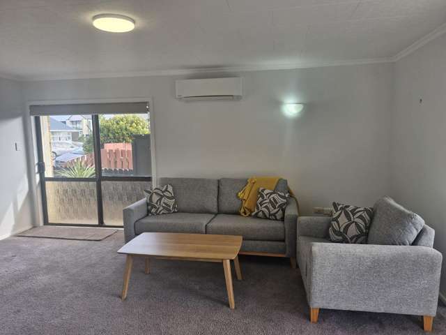 45 Buller Street New Plymouth_2
