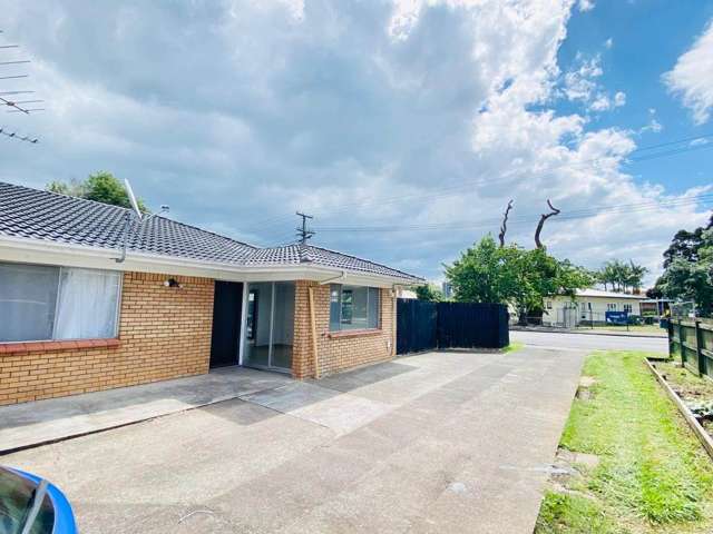 215 St George Street Papatoetoe_1