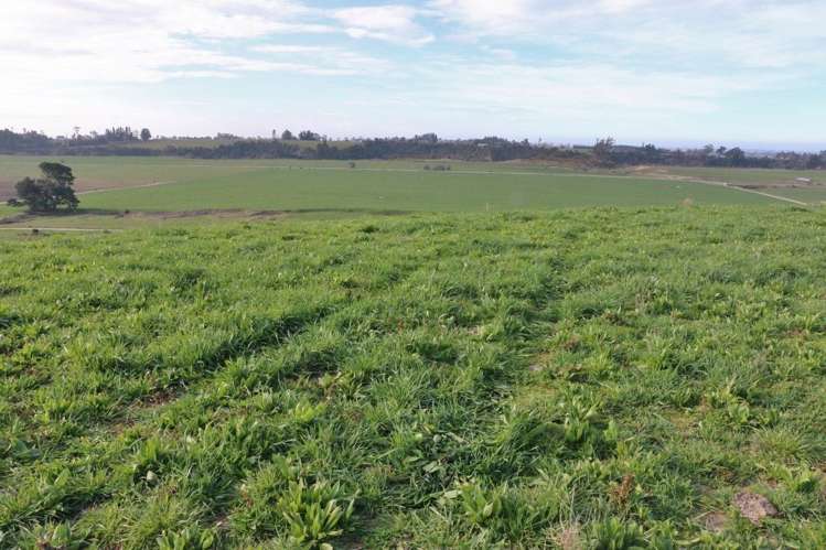 277 Mill Road Waimate_5