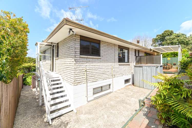 1 Tropicana Drive Mount Roskill_24