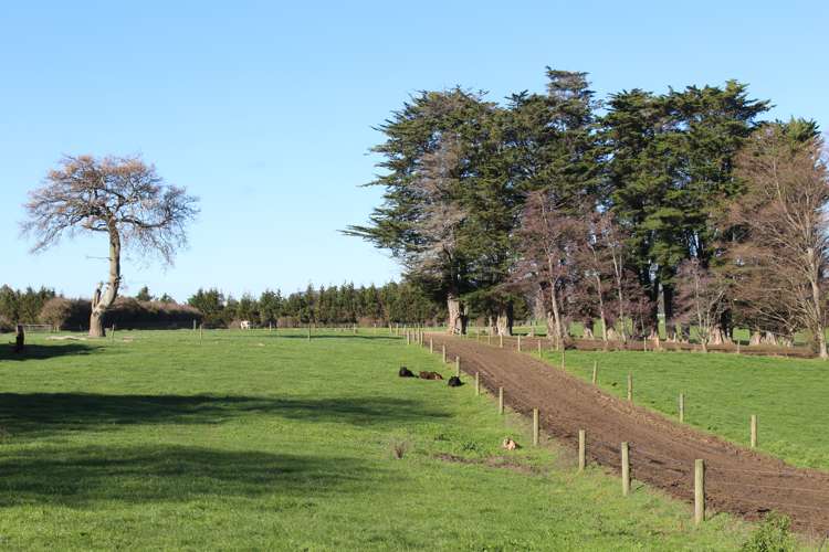 109 Vaughan Road Takapau_11