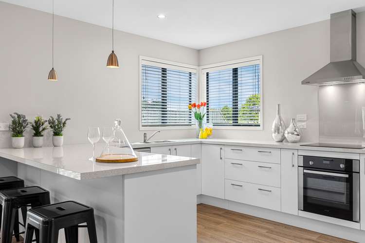 117 Infinity Drive Pegasus_1