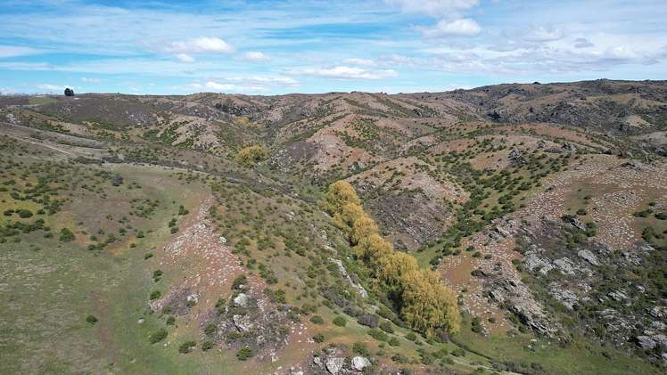 Lot 1 Ida Valley - Omakau Road Ophir_14