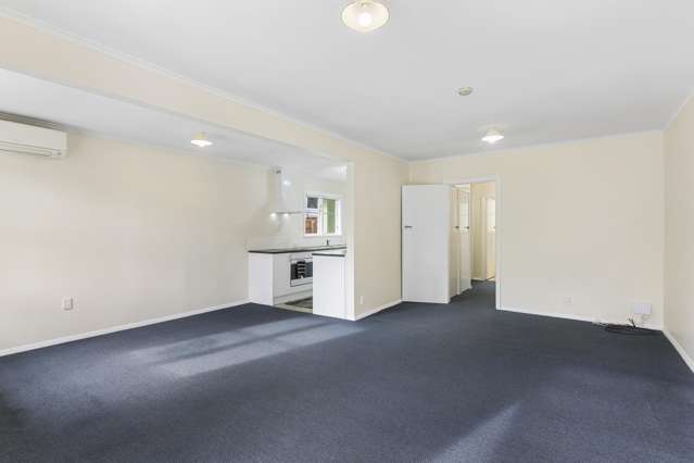 36 Burgess Road Johnsonville_2