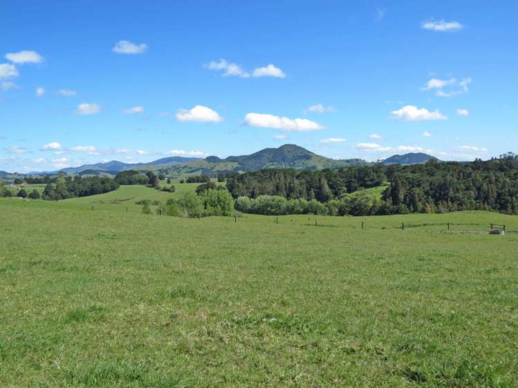 202 Knight Road Ruatangata_3