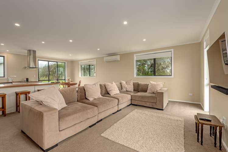 4 George Street Bulls_1