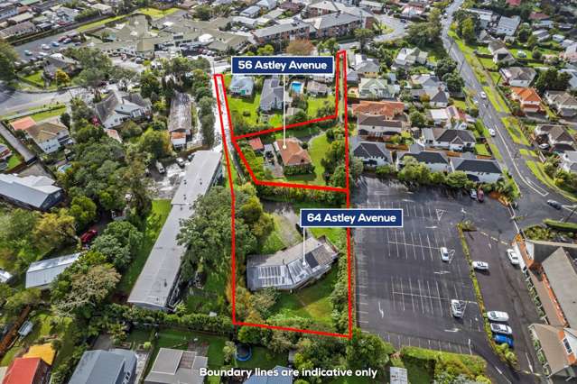 Double Development Opportunity: 3301m2 in New Lynn