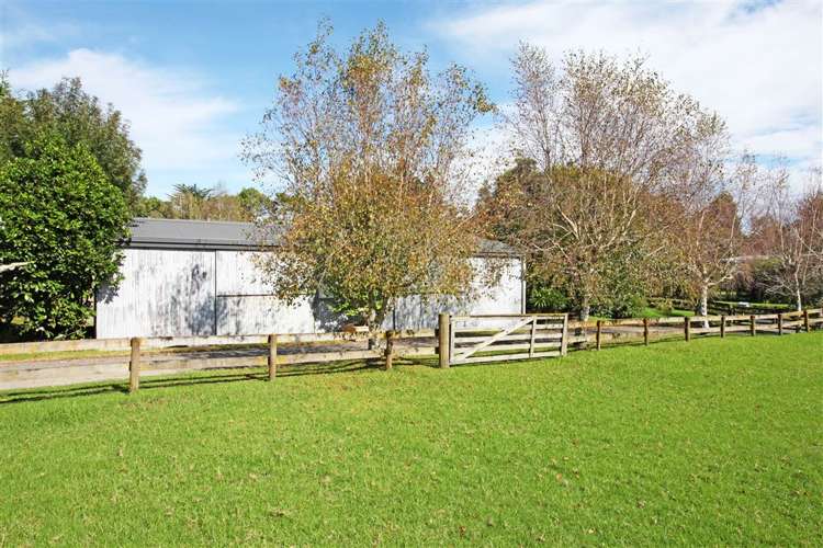 37 Pitt Road Runciman_8