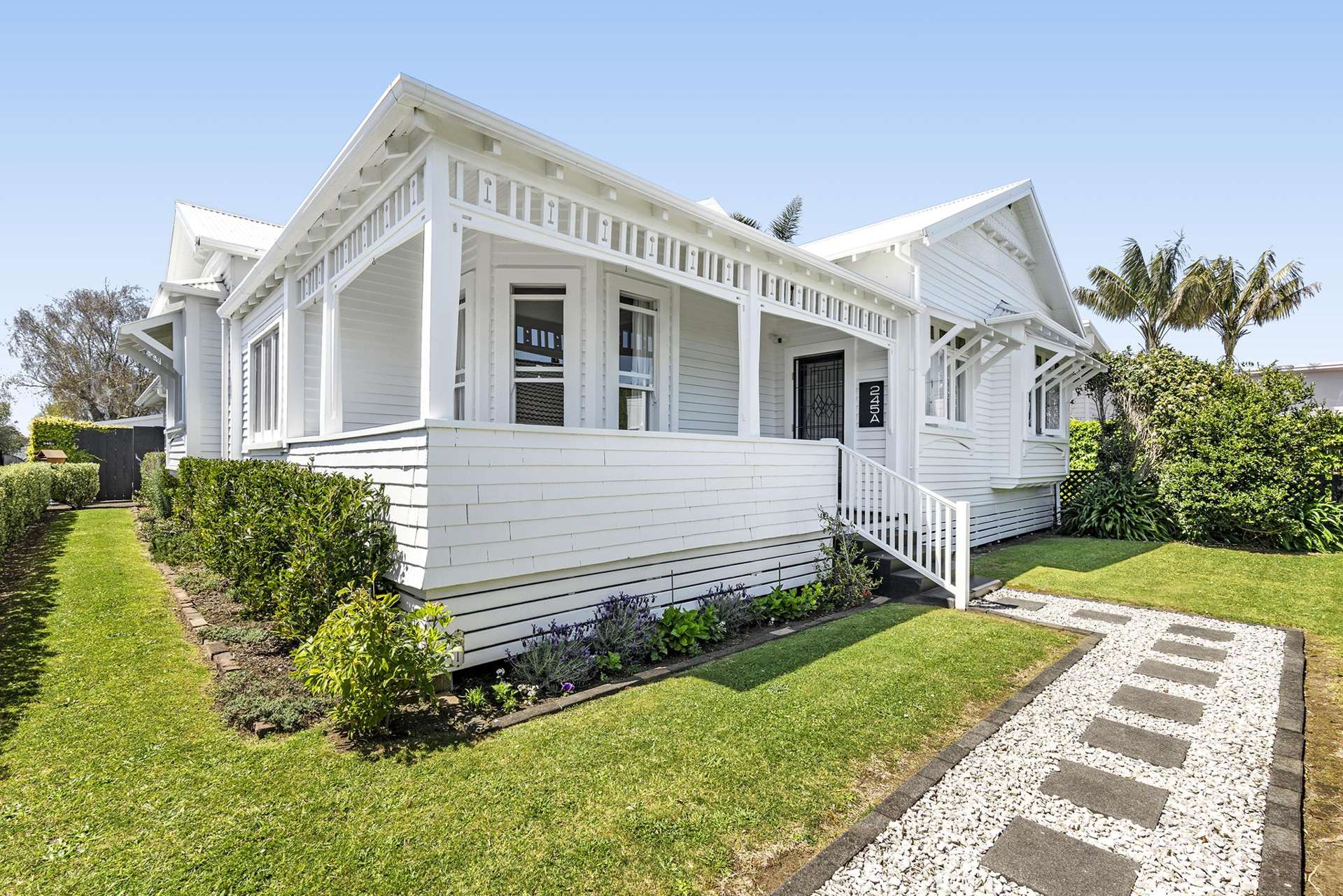 245A Carrington Street Vogeltown_0
