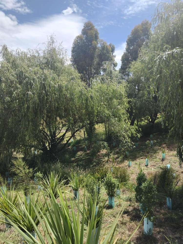 41 Harley Ridge Upper Moutere_13