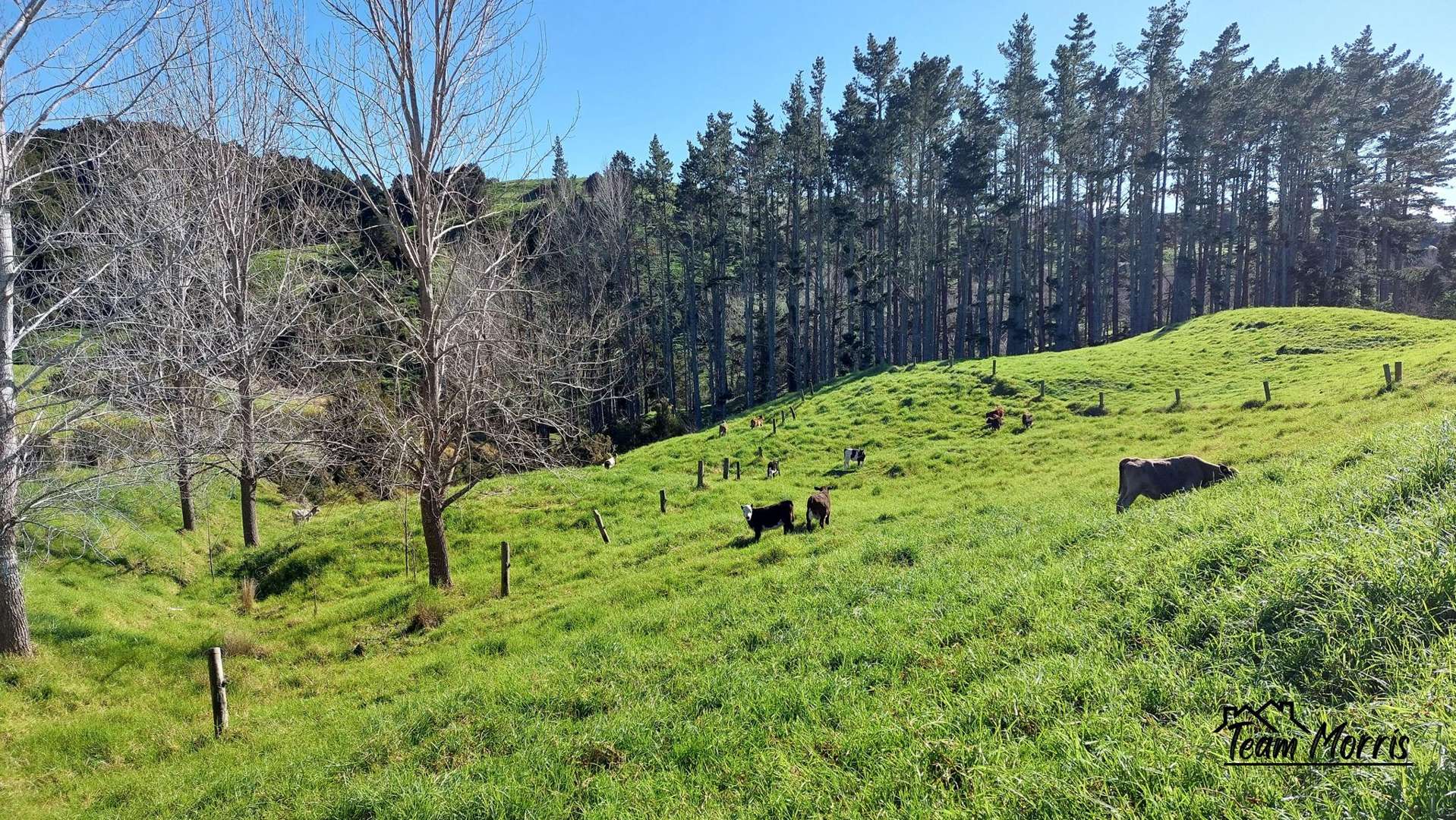 Lot 5/198 Griffin Road Maungaturoto_0