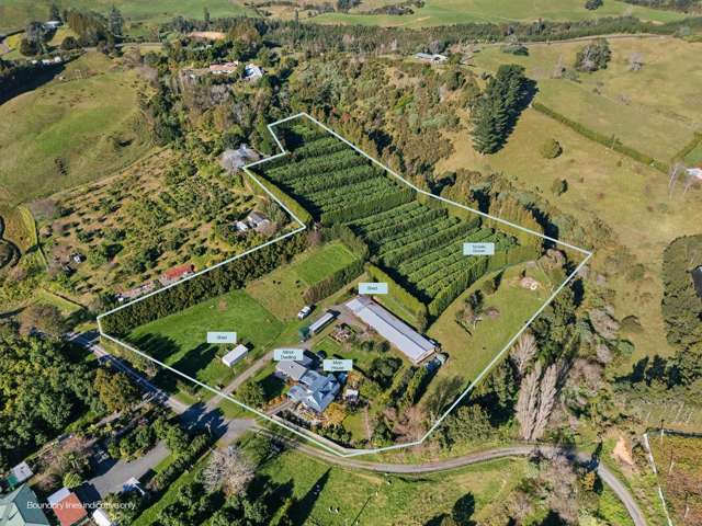 Tamarillo Orchard Income & Multigenerational Living