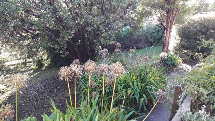 48 Marine Drive Diamond Harbour_9