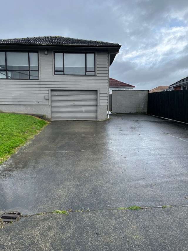 6 Freer Street Mount Roskill_1