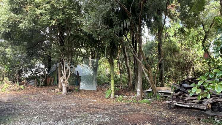 28 Greenfield Street Hector_23