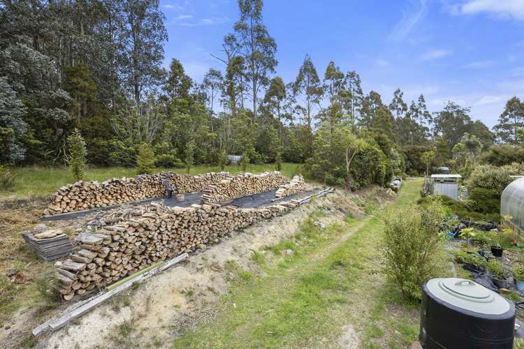 309 Signal Hill Road Opoho_32