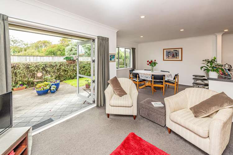 66B Totara Street Tawhero_12