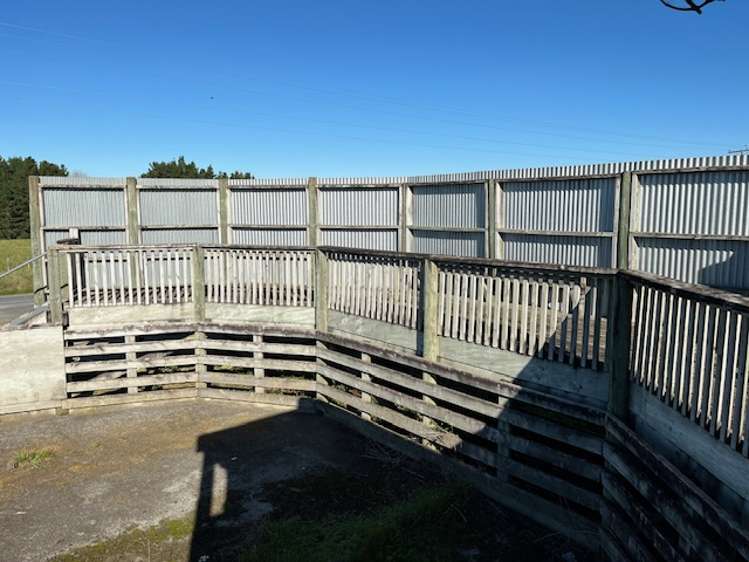 34 School Road Dannevirke_13