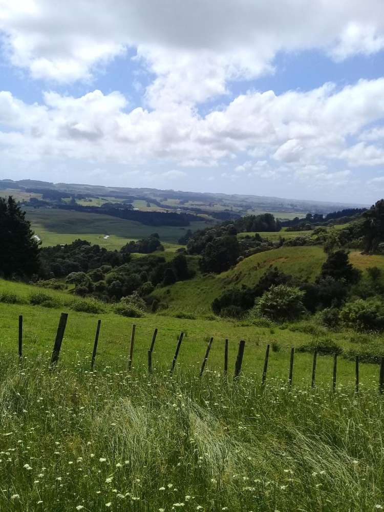 299 Kiwitahi Road Helensville_17