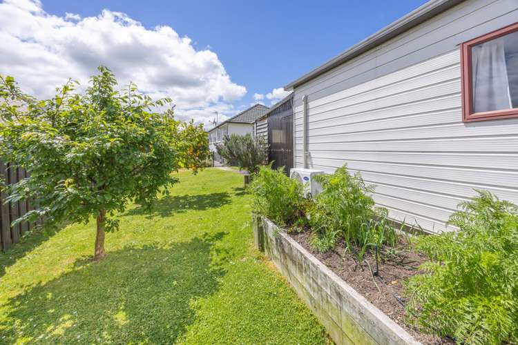 94 Princess Street Te Awamutu_55