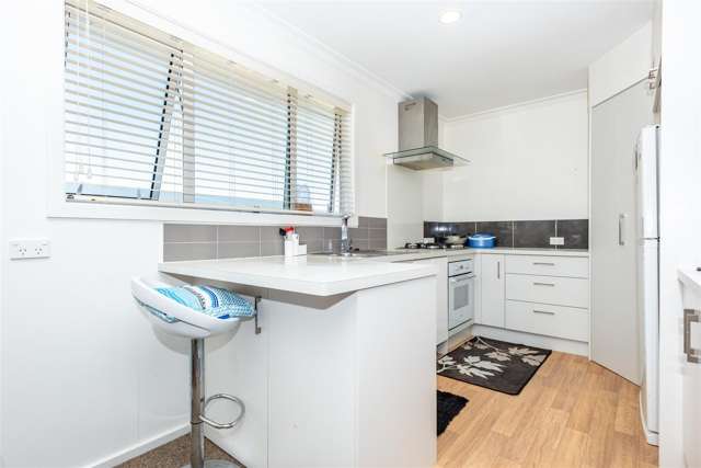24 Lyell Road Kaiti_4
