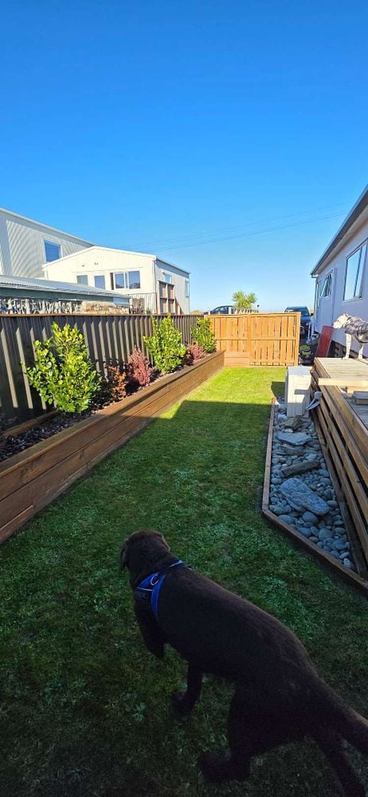1094 Brighton Road Brighton_16