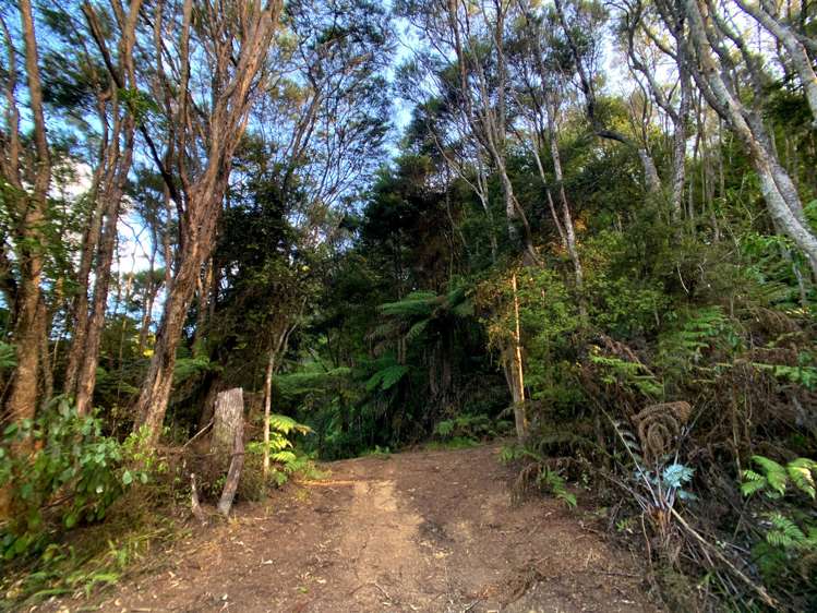 723B Whangarei Heads Road Parua Bay_15
