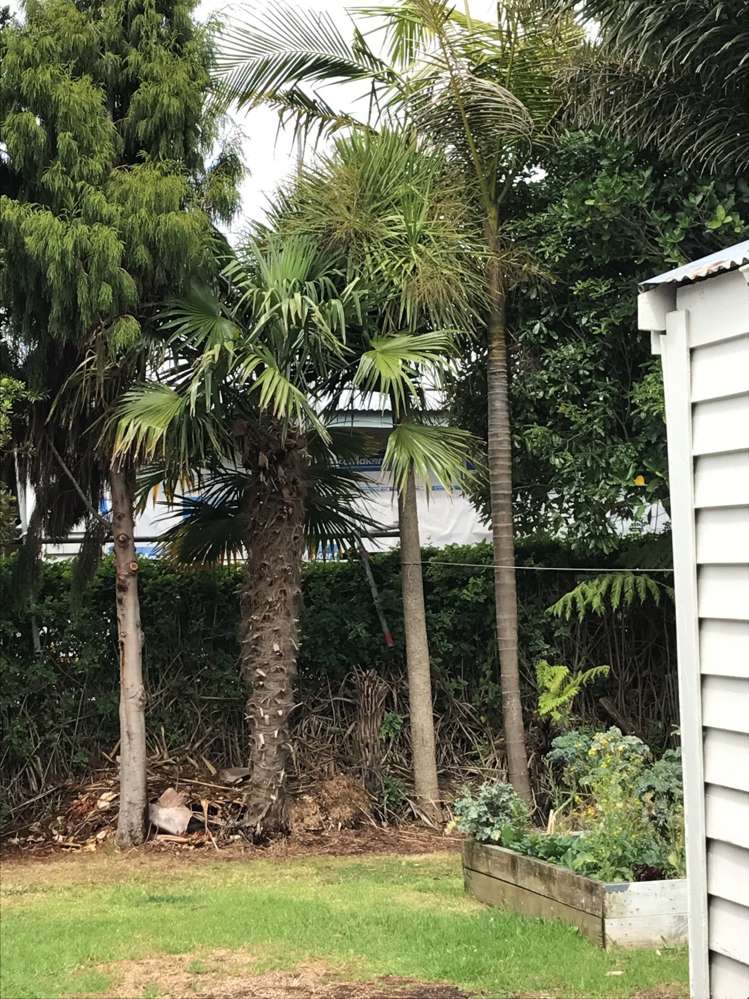 53a Grotto Street Onehunga_7