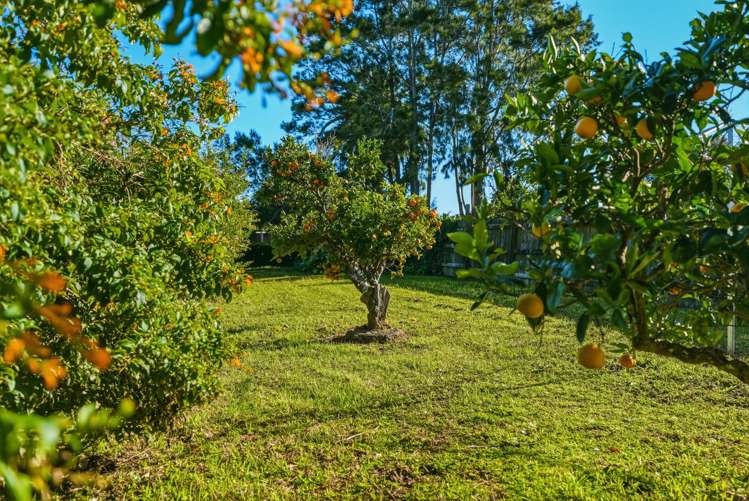 27 Allen Bell Drive Kaitaia_24
