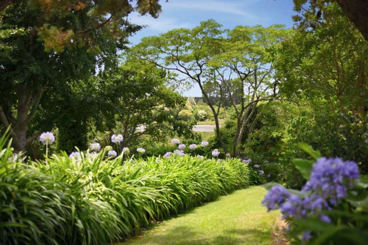 43 Waikaraka Drive West Te Puna_22