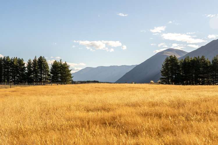 160D Manuka Terrace_2