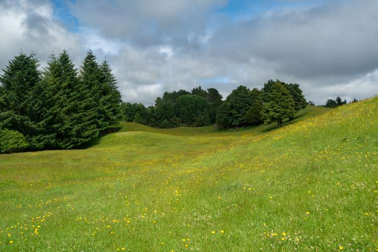 2603 State Highway 41 Kuratau_11