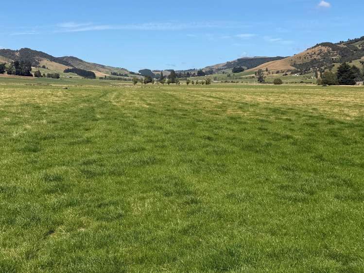 200 Caroline Valley Road Dipton_6