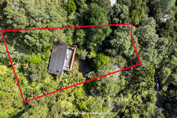 31 Lone Kauri Road Karekare_23