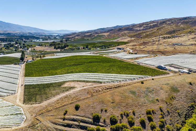 98c Paterson Road Nevis_5