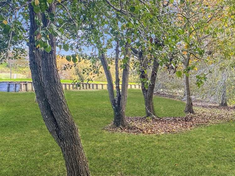 11 Lone Gum Lane Kerikeri_4