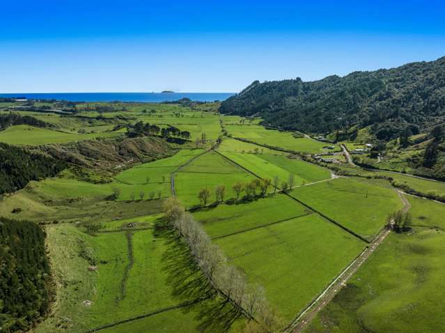 294 Tirohanga Road Opotiki_2