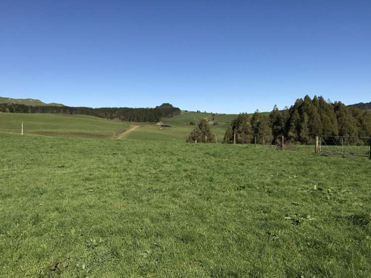 1232 Ngaroma Road Wharepuhunga_18