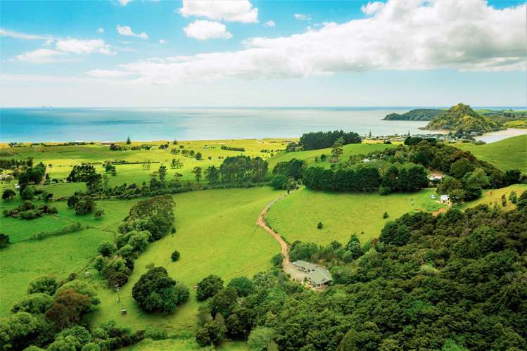 1860 Pataua North Road Pataua_11