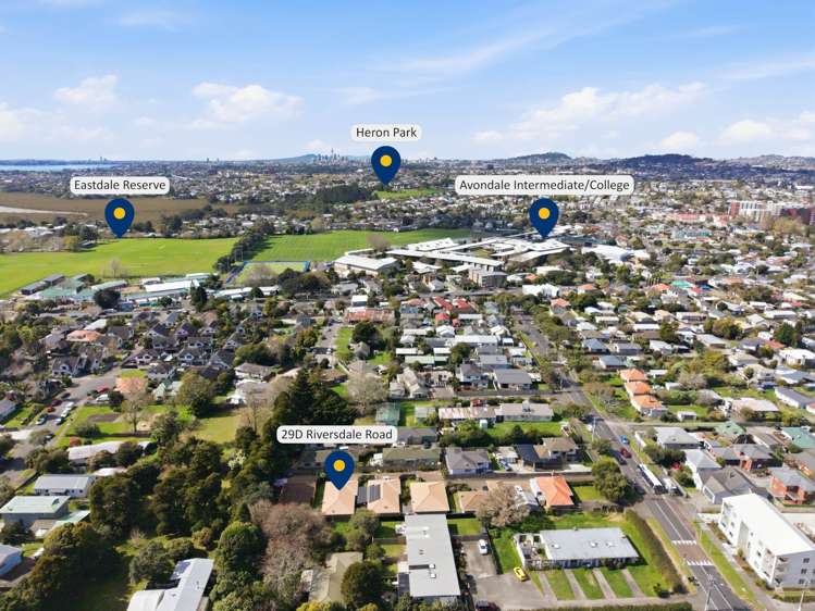 29D Riversdale Road Avondale_20