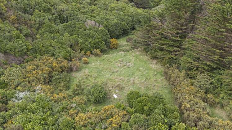 106 Harrison Hill Road Aokautere_9